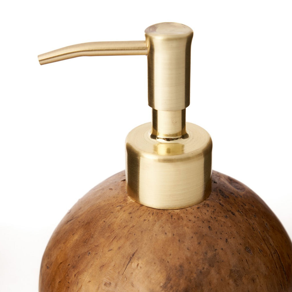 The coconut soap dispenser