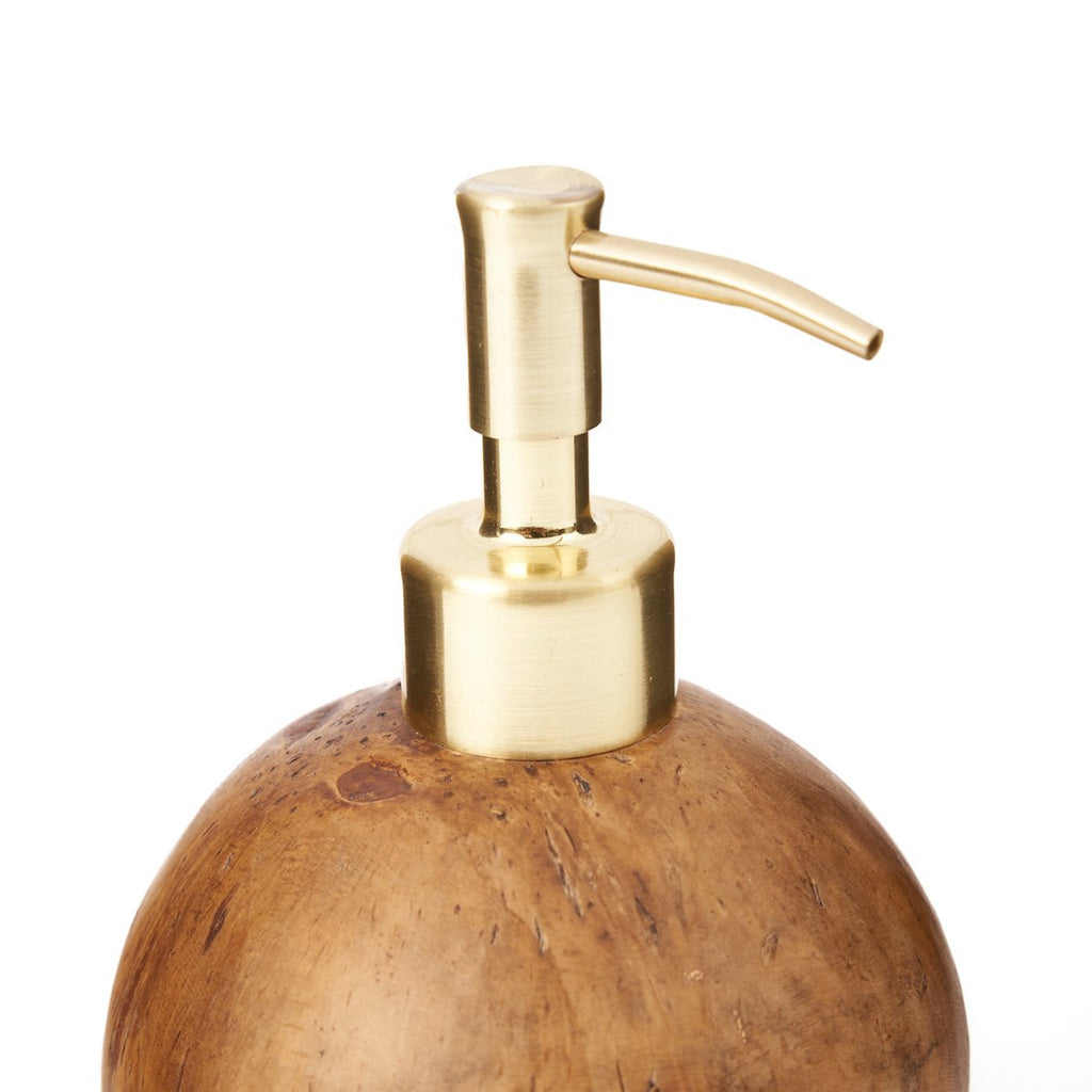 The coconut soap dispenser